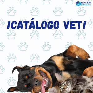 MASCOTAS